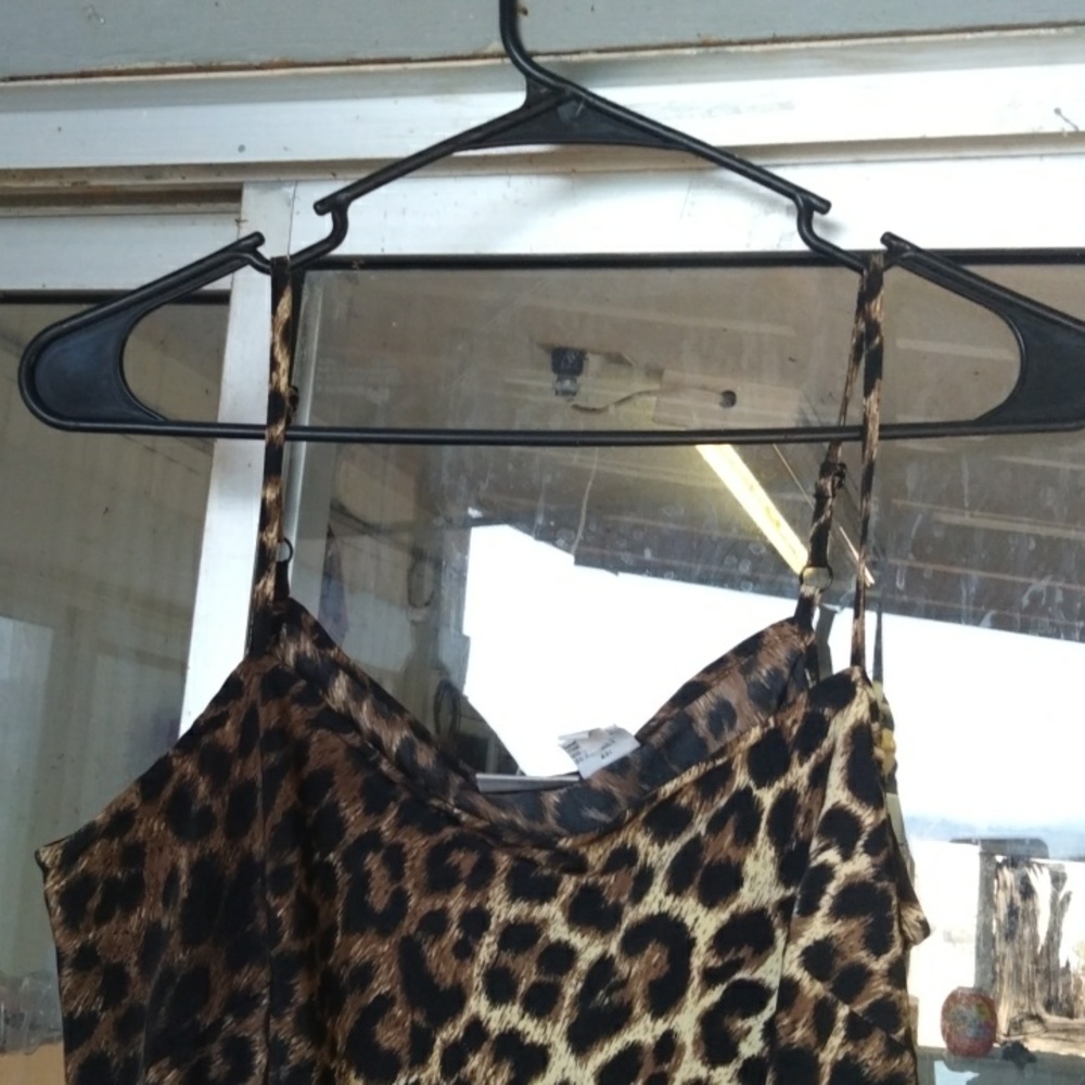 Slip and can also be a Nightie